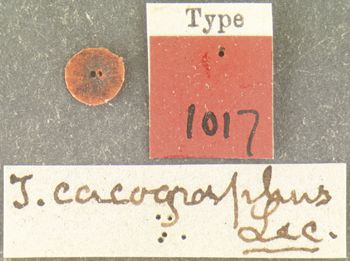 Media type: image;   Entomology 1017 Aspect: labels